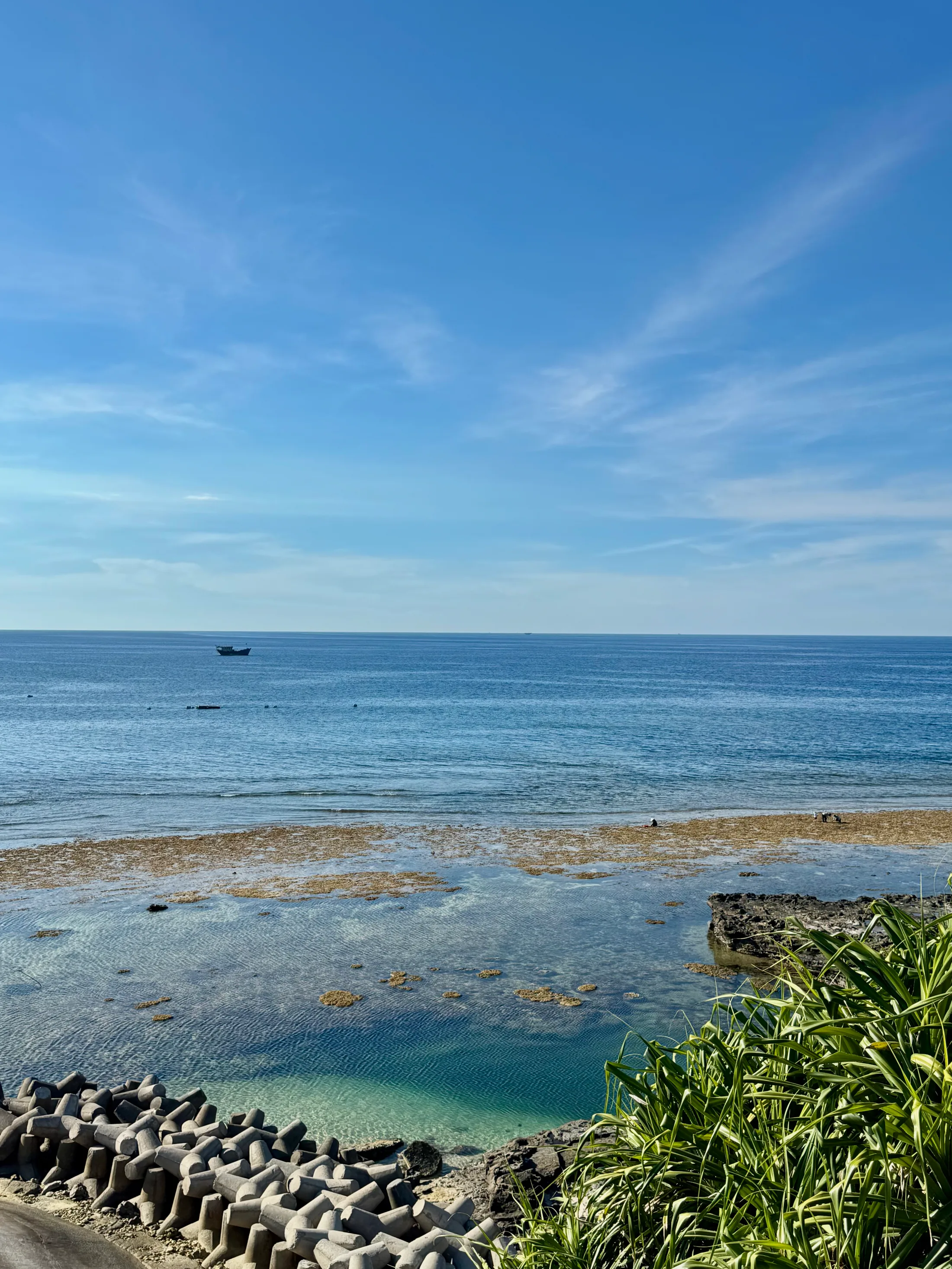 A calm blue sea with a small fishing boat far out, seaweed on the shallows and concrete tetrapods along the shore