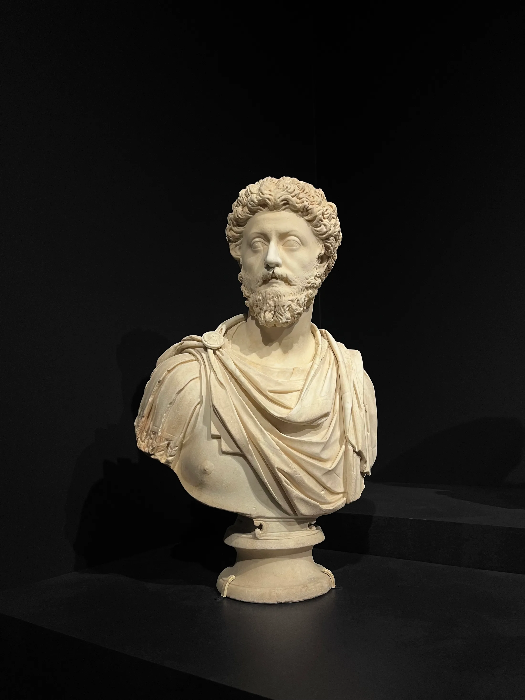 A marble bust of Marcus Aurelius lit against a black gallery wall